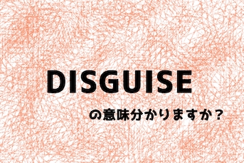disguise-top