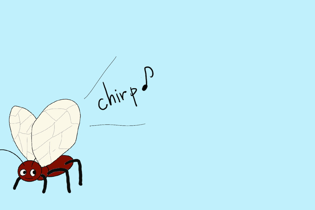 chirp_bug