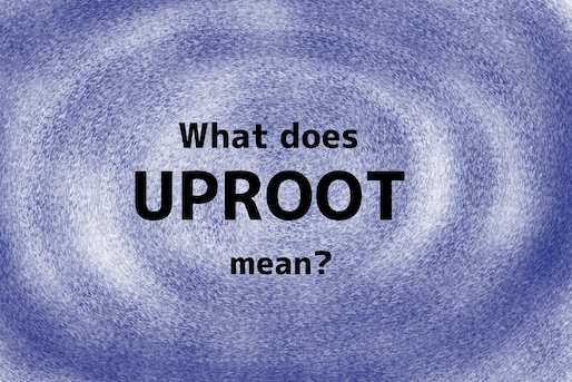 uproot_TOP_en