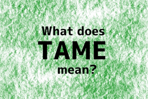 tame_TOP_en